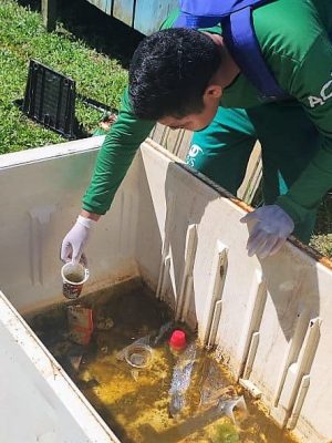 A Fundação de Vigilância em Saúde do Amazonas – Dra. Rosemary Costa Pinto (FVS-RCP), unidade vinculada à Secretaria de Estado de Saúde do Amazonas (SES-AM), divulgou, na última quinta-feira (30), o Informe Epidemiológico das Arboviroses no Amazonas.