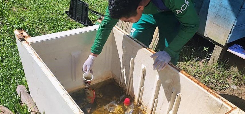 A Fundação de Vigilância em Saúde do Amazonas – Dra. Rosemary Costa Pinto (FVS-RCP), unidade vinculada à Secretaria de Estado de Saúde do Amazonas (SES-AM), divulgou, na última quinta-feira (30), o Informe Epidemiológico das Arboviroses no Amazonas.